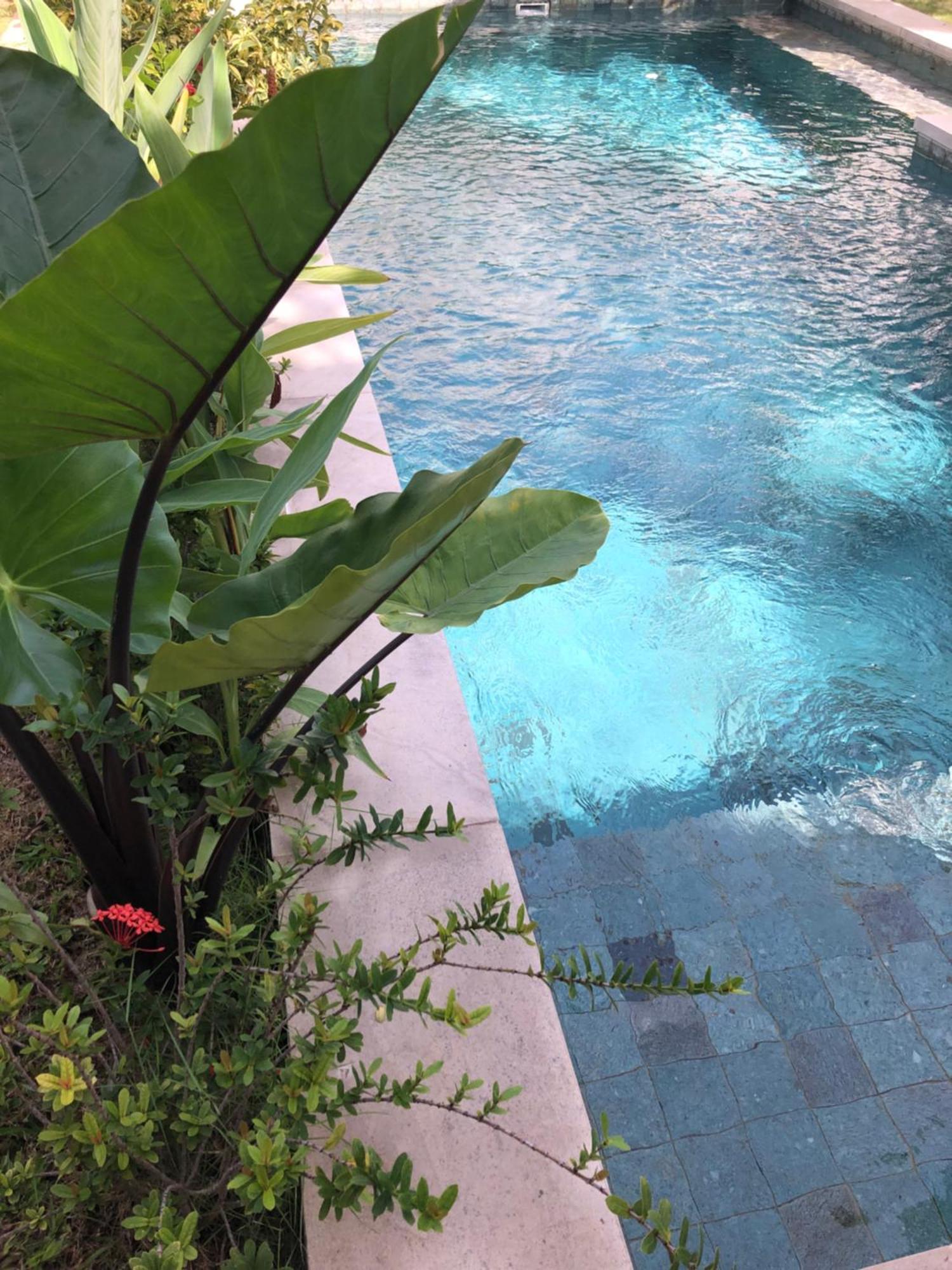 Villa Abhista Seminyak Εξωτερικό φωτογραφία